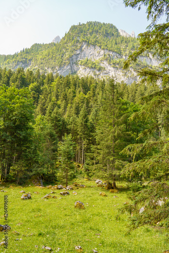 Sommer in den östereichischenn  Alpen photo