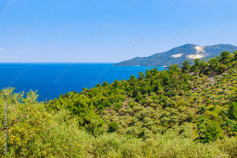 Mountains and olive trees near Limenas, Thassos island, Greece, Europe