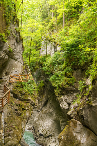 Das Salzkammergut in   sterreich