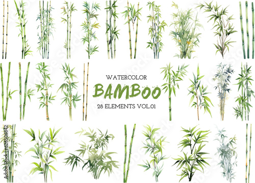 Vector watercolor painted bamboo clipart. Hand drawn design elements isolated on white background. © vasabii