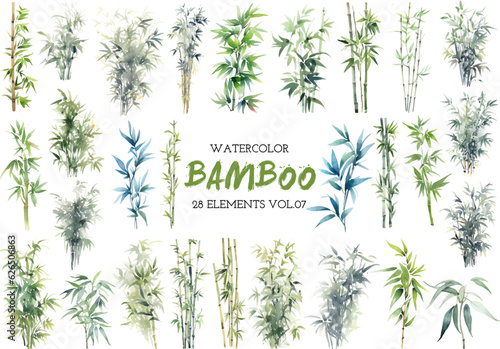 Vector watercolor painted bamboo clipart. Hand drawn design elements isolated on white background.