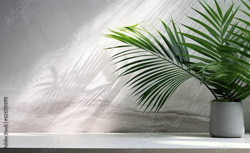 Palm leaves cast shadow from white marble, in the style of bokeh panorama, modern, realistic landscapes with soft edges, kitchen still life, light emerald and gray, flat perspective © Nhan