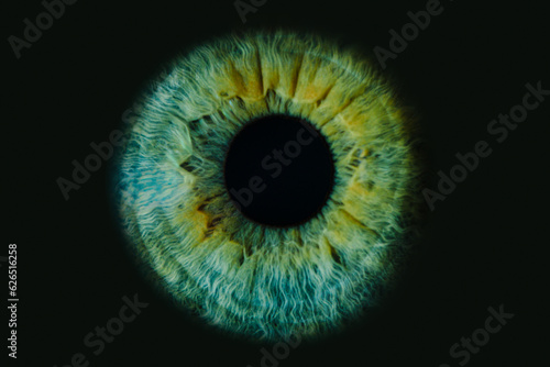Macro photo of human eye on black background. close-up of green eye