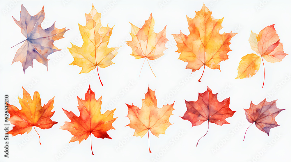 Fototapeta premium colorful autumn leaves on white background. fall season concept