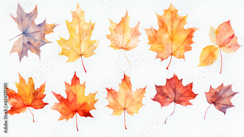 colorful autumn leaves on white background. fall season concept