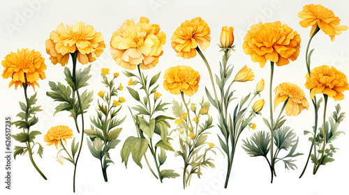 Fototapeta Naklejka Na Ścianę i Meble -  watercolor flowers and leaves on white background