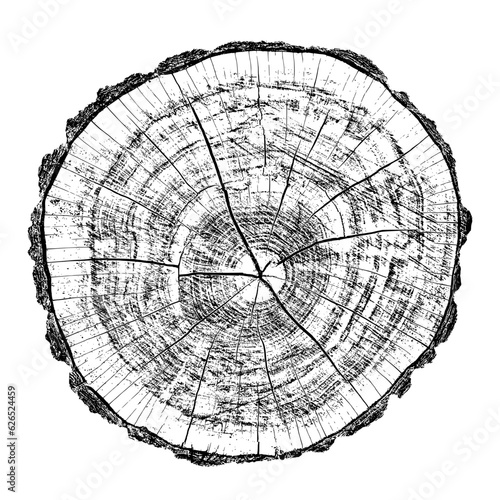 Wood texture cross section of tree rings. Cut slice of wooden stump isolated on white. Textured surface with rings and cracks. Black background made of hardwood from the forest. Vector illustration.