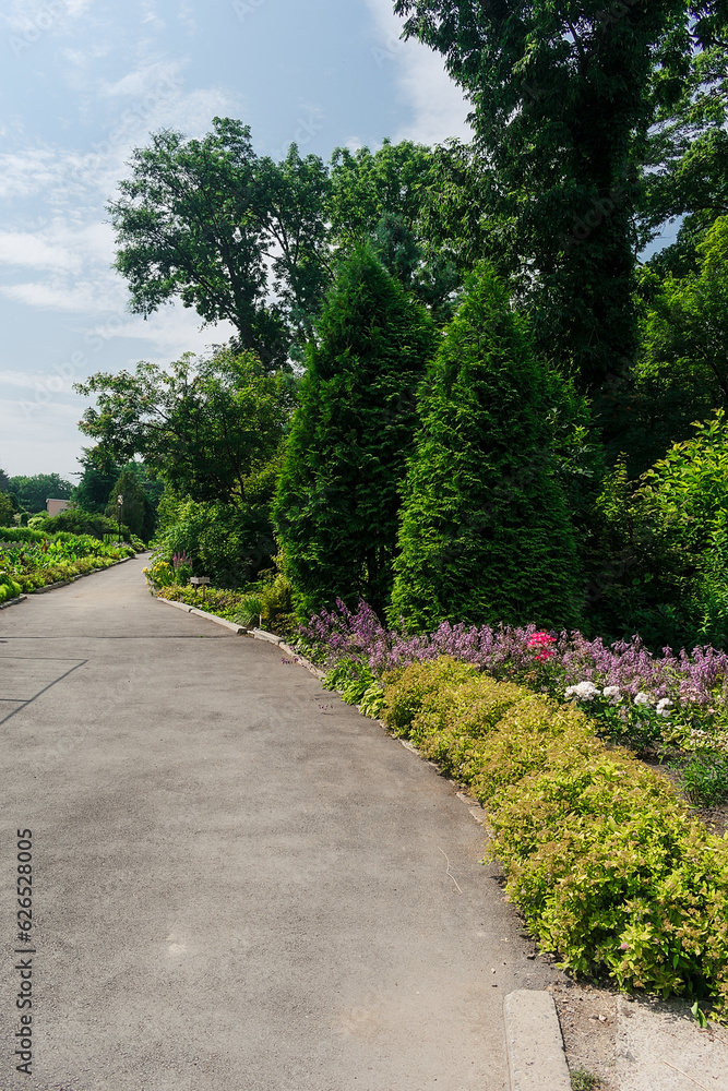 Alley in the park among dense green vegetation and flowers. Garden with many plants, flowers and alleys.