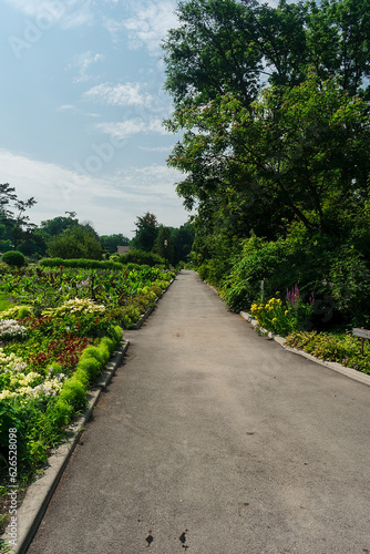 Alley in the park among dense green vegetation and flowers. Garden with many plants  flowers and alleys.