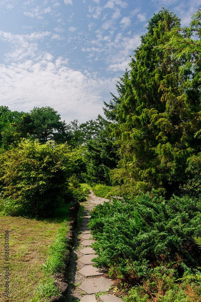 Path in the park among dense vegetation. Garden with many plants and a path.