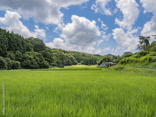 奈良県針ヶ別所町の田園風景