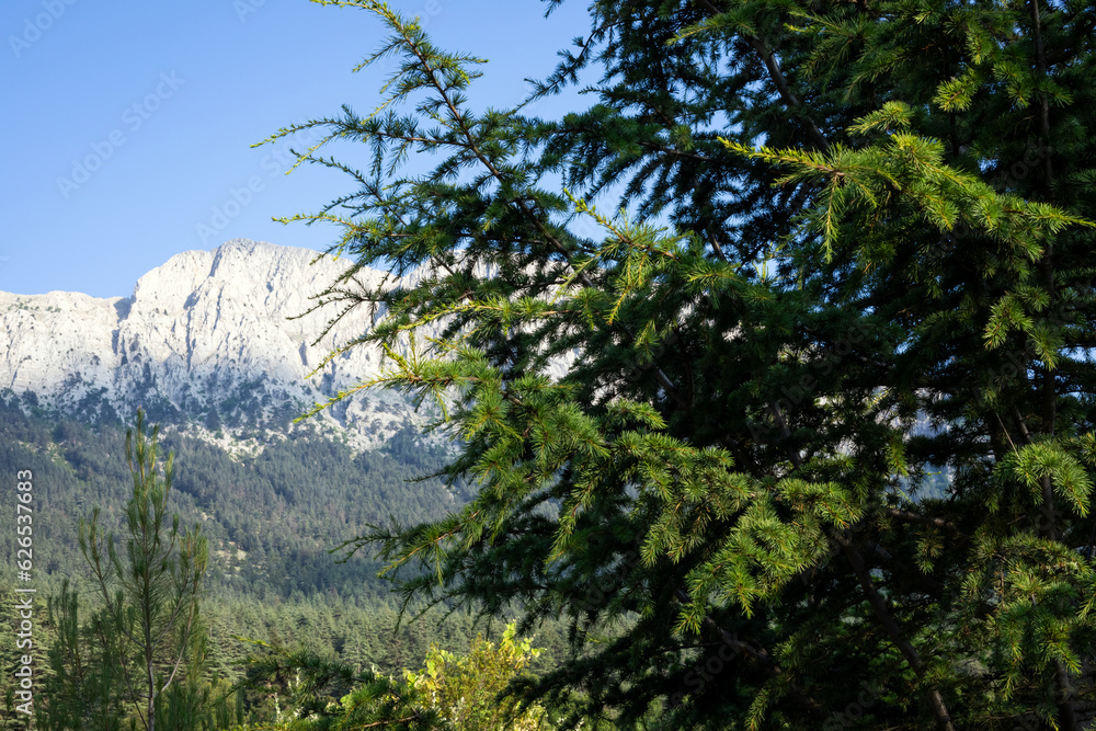 A view of the Taurus Mountains and forests. Antalya, Turkey.