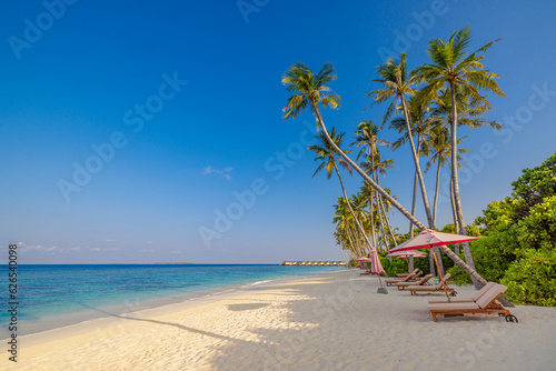 Tropical beach nature as summer landscape with lounge chairs beds. Sunny sky idyllic palm trees, calm sea waves. Luxury travel landscape, beautiful destination for vacation or holiday. Beach coast
