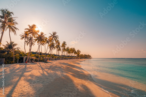 Beautiful panoramic sunset tropical paradise beach. Tranquil summer vacation or holiday landscape. Tropical sunset beach seaside palm calm sea panorama exotic nature view inspirational seascape scenic © icemanphotos