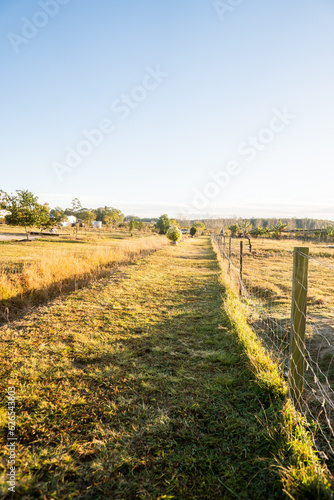 Early morning fence on the peach farm near Iluka & Yamba in NSW Australia