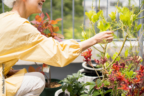 日本人シニア女性がベランダで植物を育てている