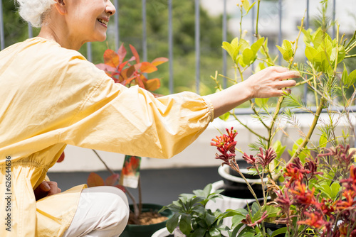 日本人シニア女性がベランダで植物を育てている