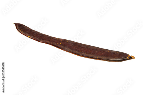 Close-up view of flame tree seed pot on white background isolated. 