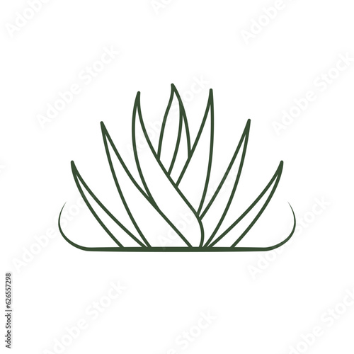 Aloe vera vector icon design. Herbal leaves organic logo.