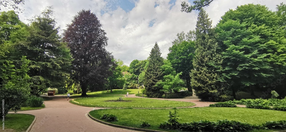 Obraz premium path in the park