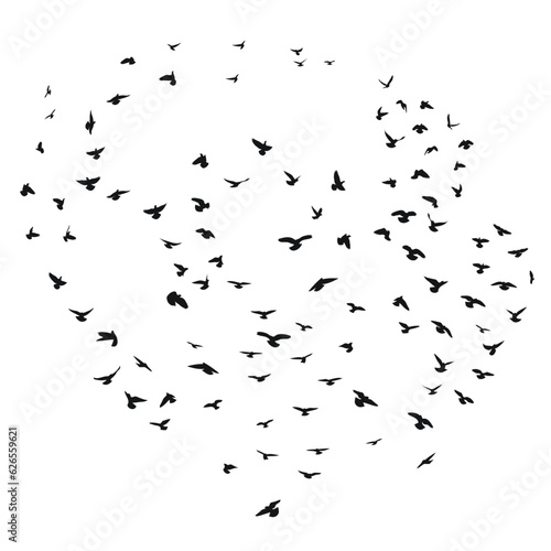 Sketch drawing of a silhouette of a flock of birds flying forward, cling together. Takeoff, flying, flight, flutter, hover, soaring, landing