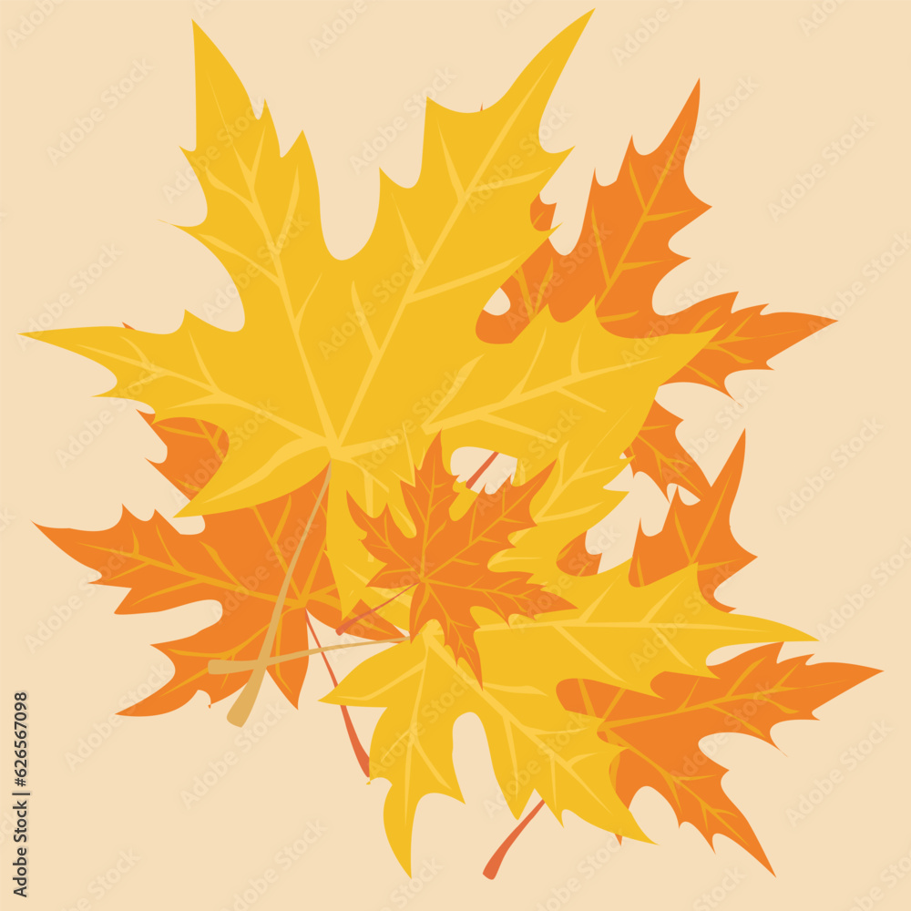 autumn, fallen leaves. autumn leaves, leaf fall autumn, fallen leaves. autumn leaves, leaf fall