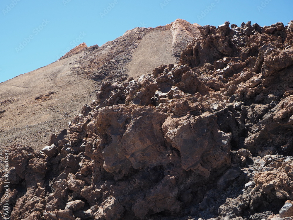 Obraz premium OLYMPUS DIGITAL CAMERA