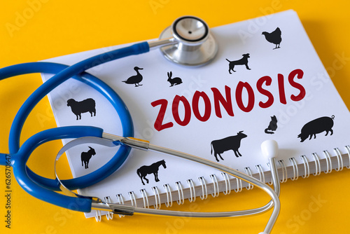 Zoonosis, Concept Zoonoses and infections transmissible from vertebrate animals to humans, Epidemic threat, Medical stethoscope, notebook with icons of farm animals and the word Zoonosis photo