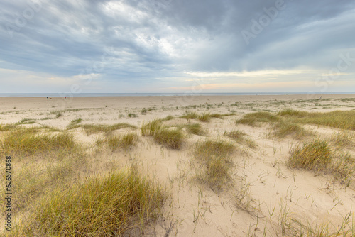 Fototapeta Naklejka Na Ścianę i Meble -  Outlook over Coastal Dunes at North Sea