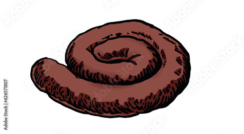 Vector color sausage isolated on white background, butchery product. Meat element for design