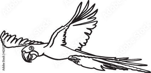 Graphical sketch of parrot  isolated on white,vector element of bird.Ink pen parrot for coloring,logo,design