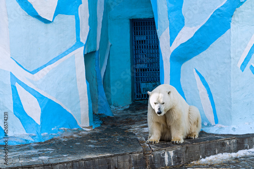 Tablou pe pânză Polar bear in the zoo