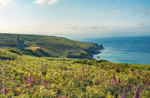 Southwest coast path Helston Rinsey cove