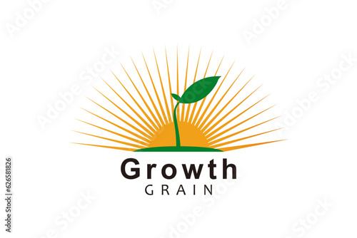 Modern Colorful Growing Seed Flower Plant Garden Farm logo design