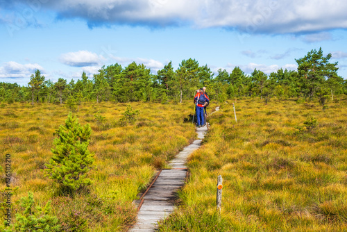 Raised bog with hikers on a path