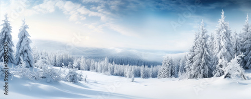 panoramic photo of the trees covered with snow in the snowland, copy space for text photo
