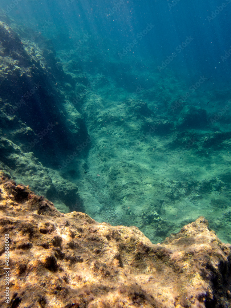 Vista subacquea del fondale marino con rocce e alghe