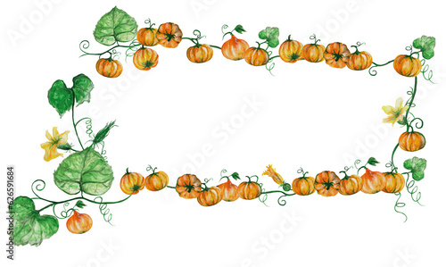 Fototapeta Naklejka Na Ścianę i Meble -  Pumpkins Pattern Kürbis Vegetables autumn  Halloween, Surface Muster,  KartenDesign