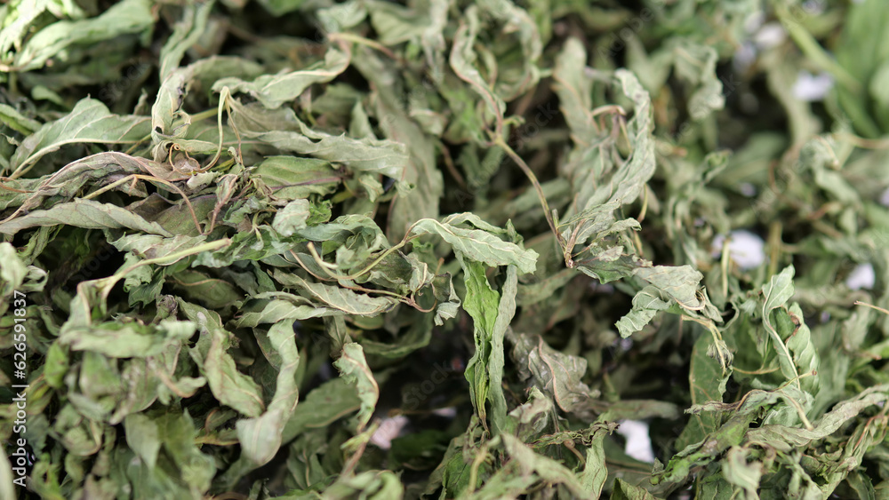 dried mint that is added to soups and gives flavor, dried mint that is added to soups and gives flavor,