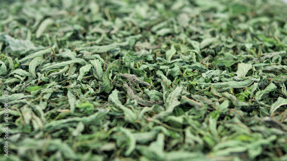 mint tea and dried mints for colds in winter, mint tea and dried mints for colds in winter,