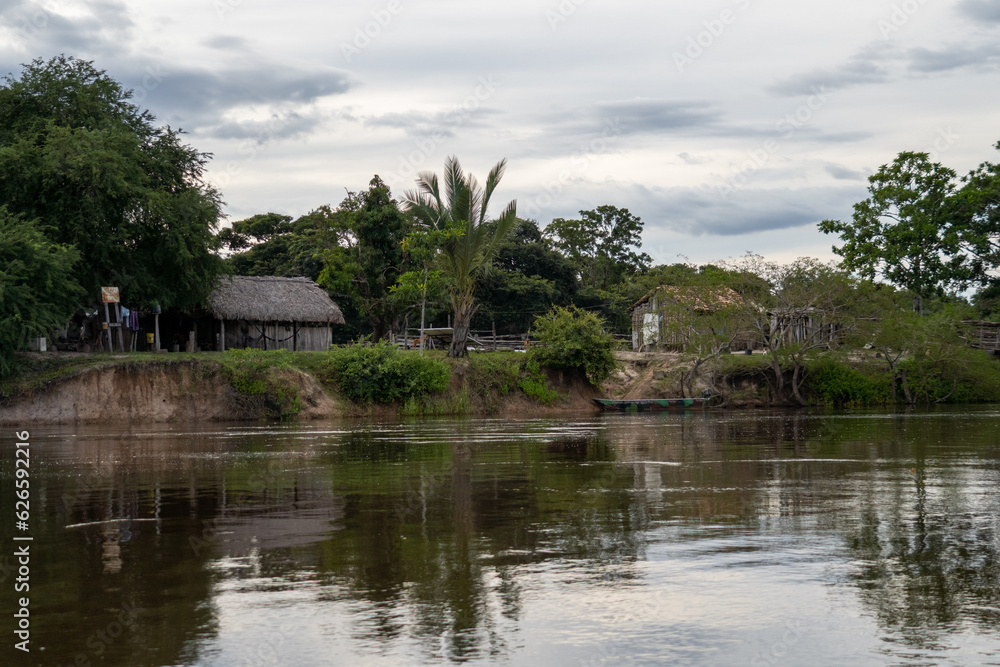 Big river with trees on the banks