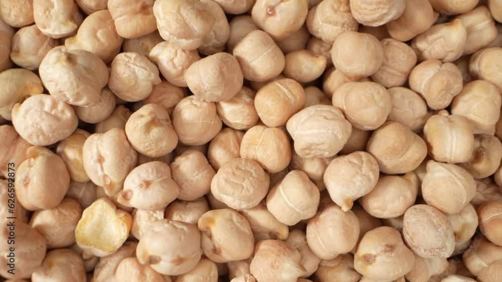 Chickpea seeds are not only a staple in many cuisines worldwide but also a valuable source of nutrients, making them an essential crop in agriculture and a popular choice for various culinary delights Chickpea seeds are not only a staple in many cuisines worldwide but also a valuable source of nutrients, making them an essential crop in agriculture and a popular choice for various culinary delights