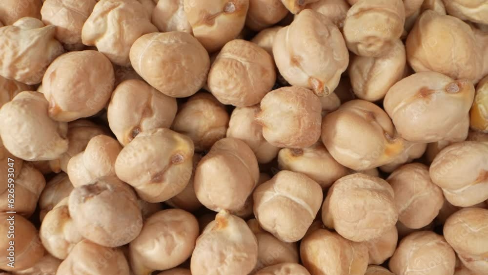 Nutritious and versatile, chickpea seeds are a popular legume in global cuisine. Packed with protein, fiber, and essential nutrients, they're a wholesome choice for salads, curries, dips, and more
Nutritious and versatile, chickpea seeds are a popular legume in global cuisine. Packed with protein, fiber, and essential nutrients, they're a wholesome choice for salads, curries, dips, and more