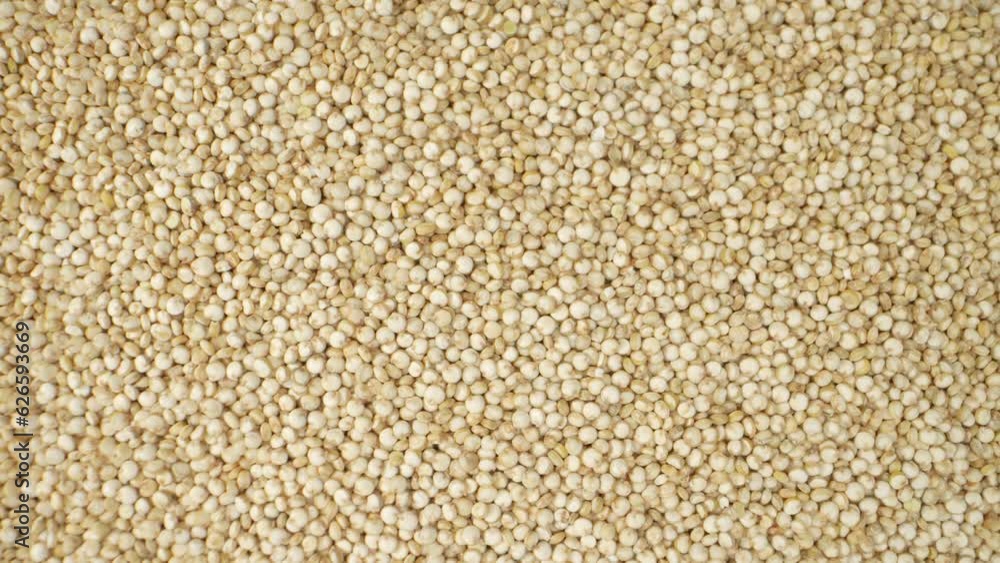 White quinoa has is considered an ancient grain. It has been cultivated in the South America for thousands of years, with evidence of its consumption dating back to the Inca civilization. Macro video
White quinoa has is considered an ancient grain. It has been cultivated in the South America for thousands of years, with evidence of its consumption dating back to the Inca civilization. Macro video