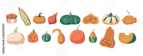 Set Pumpkins  Classic Orange Gourd Perfect For Carving  Baking  Or Decorating During Fall Season. White  Green  Striped