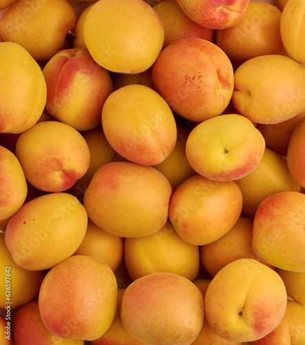 Sweet and juicy  fresh mountain Sulakskie apricots  background