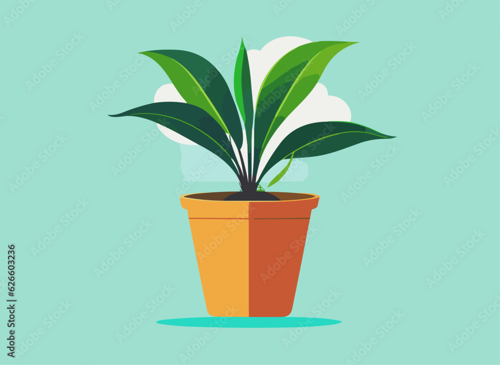 plant grows in a pot against the background of a cloud plant grows in a pot against the background of a cloud