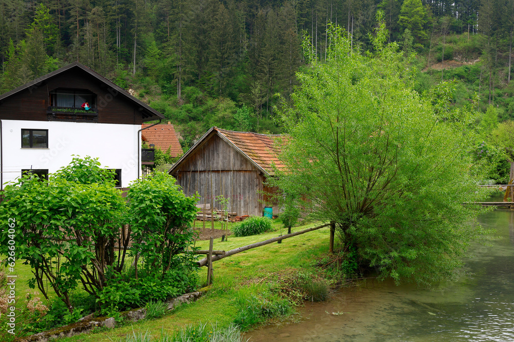 View of the Savinja river and valley in Luce, Slovenia, Europe View of the Savinja river and valley in Luce, Slovenia, Europe