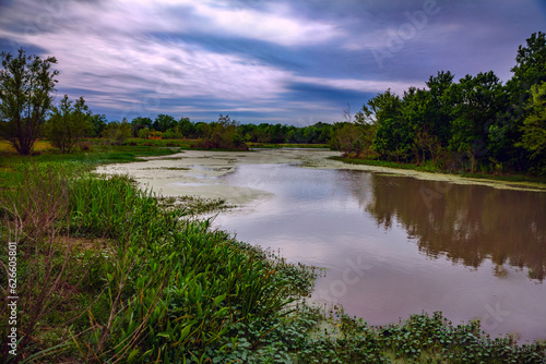 lake in the forest