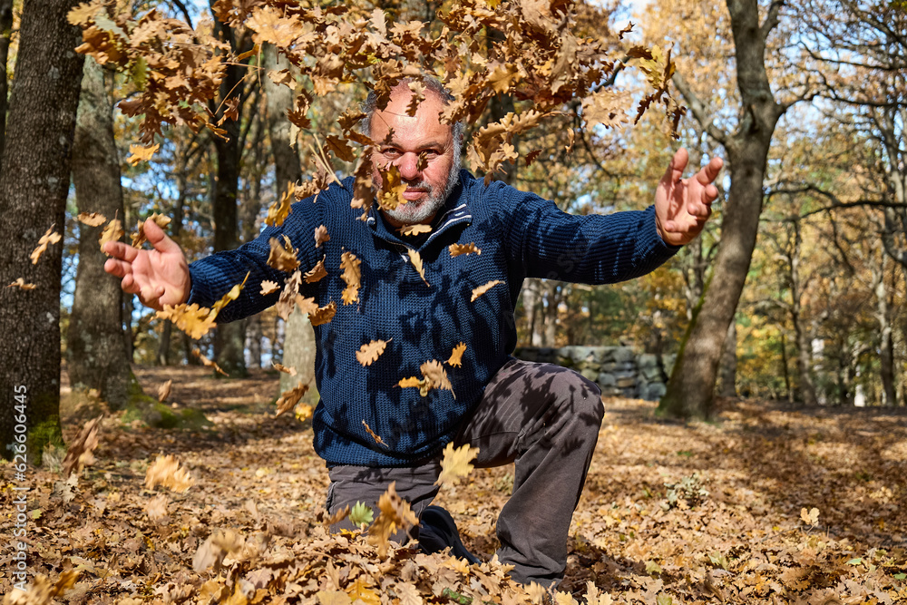 Happy mature bearded traveler man  throwing the fallen leaves up in autumn forest. Walking in fall nature for wellness and healthy lifestyle. Freedom and unity with nature concept.